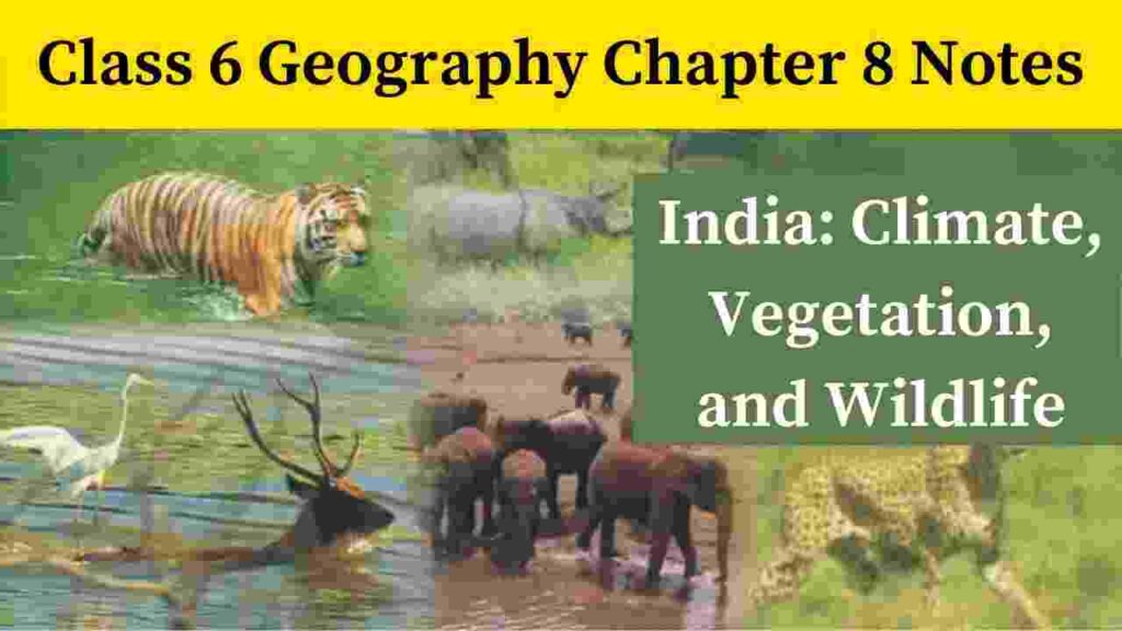Class 6 Geography Chapter 8 Notes