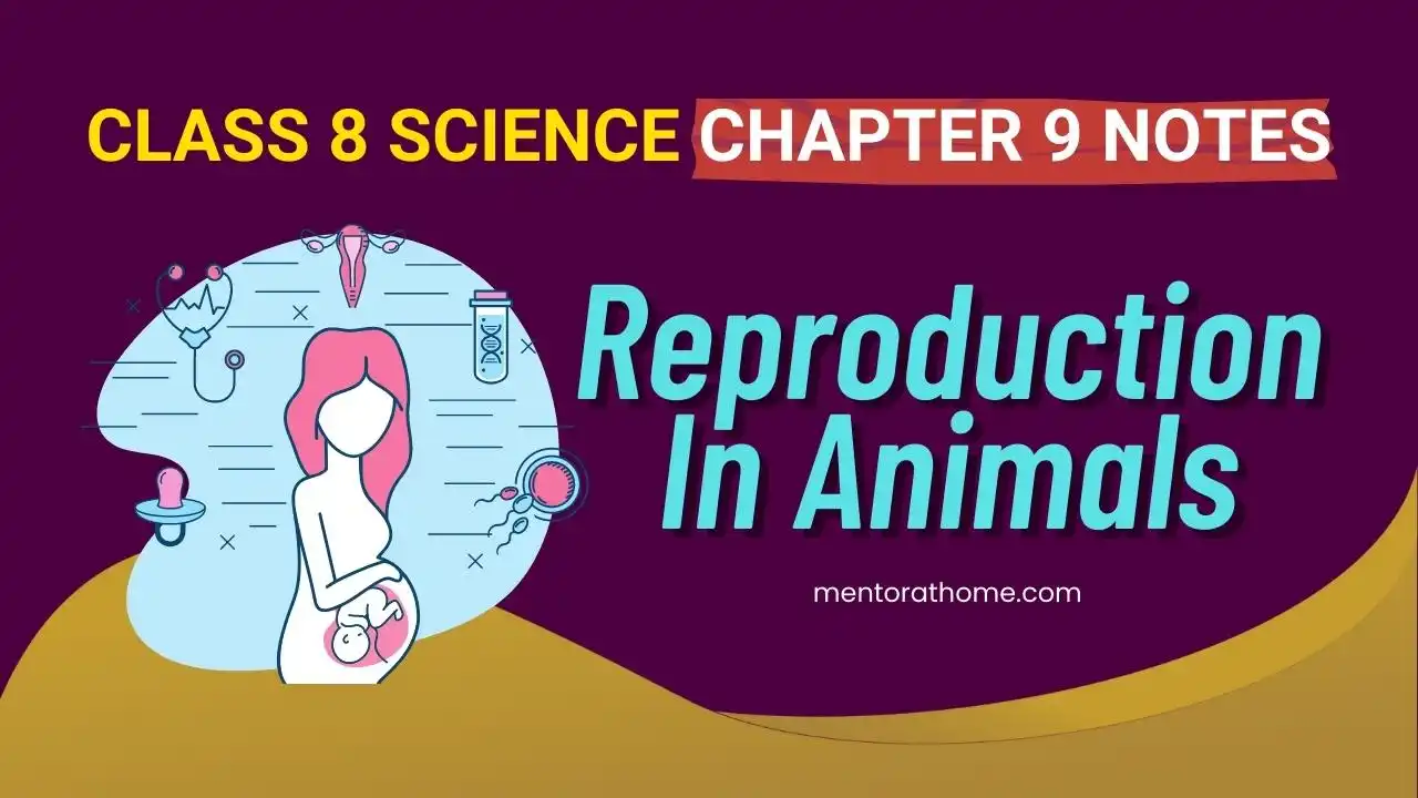 Class 8 Science Chapter 9 Notes- Reproduction In Animals Pdf Download -  Mentor At Home